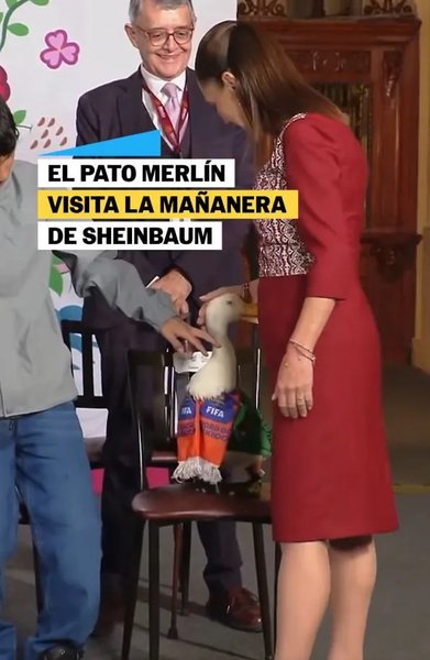 качка Мерлін качка Мерлін і президентка Мексики Клаудія Шейнбаум